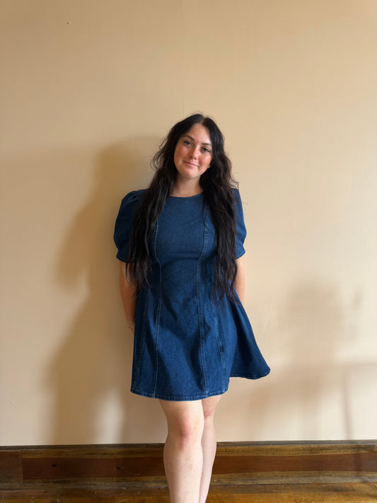 Daisy Denim Dress