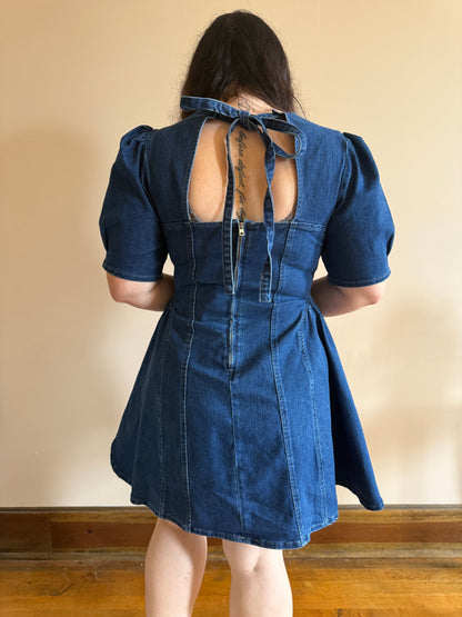 Daisy Denim Dress